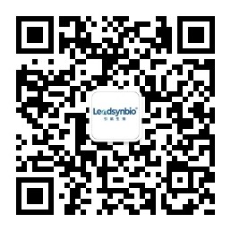 關注我們 關注我們